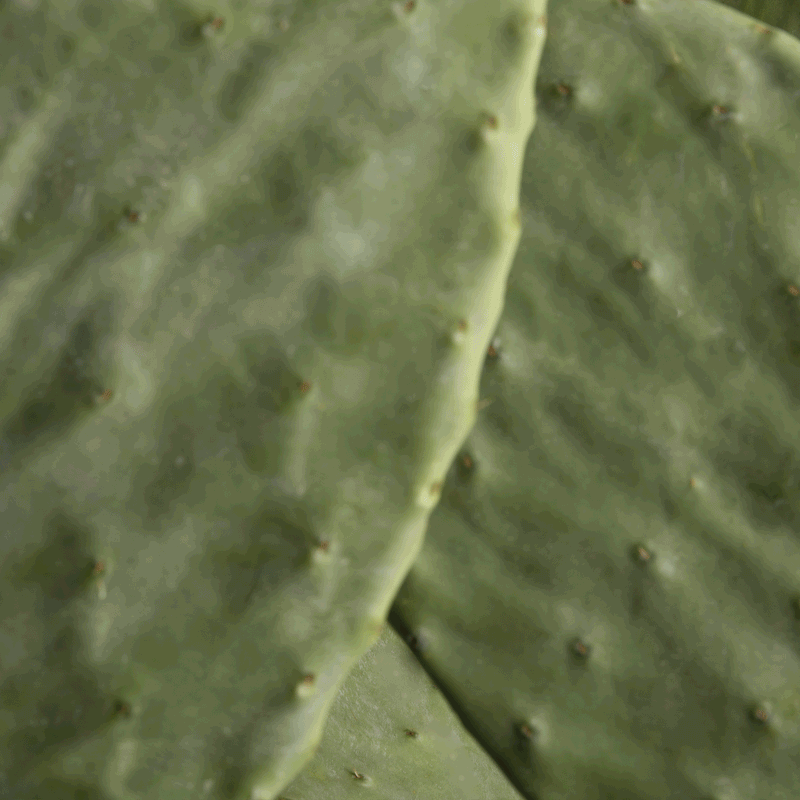 Comfort Zone: Kit Everyday Hydration Bundle HYDRATING GLOW CREAM &amp; SERUM-
